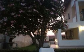 Bed And Breakfast La Casa Delle Farfalle