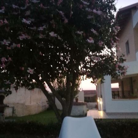 La Casa Delle Farfalle Bed and Breakfast Syracuse Esterno foto