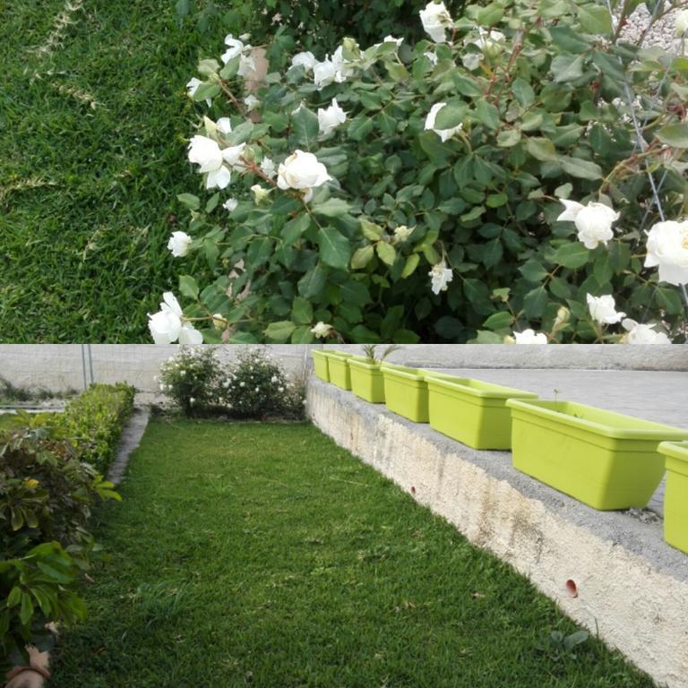 La Casa Delle Farfalle Bed and Breakfast Syracuse Esterno foto