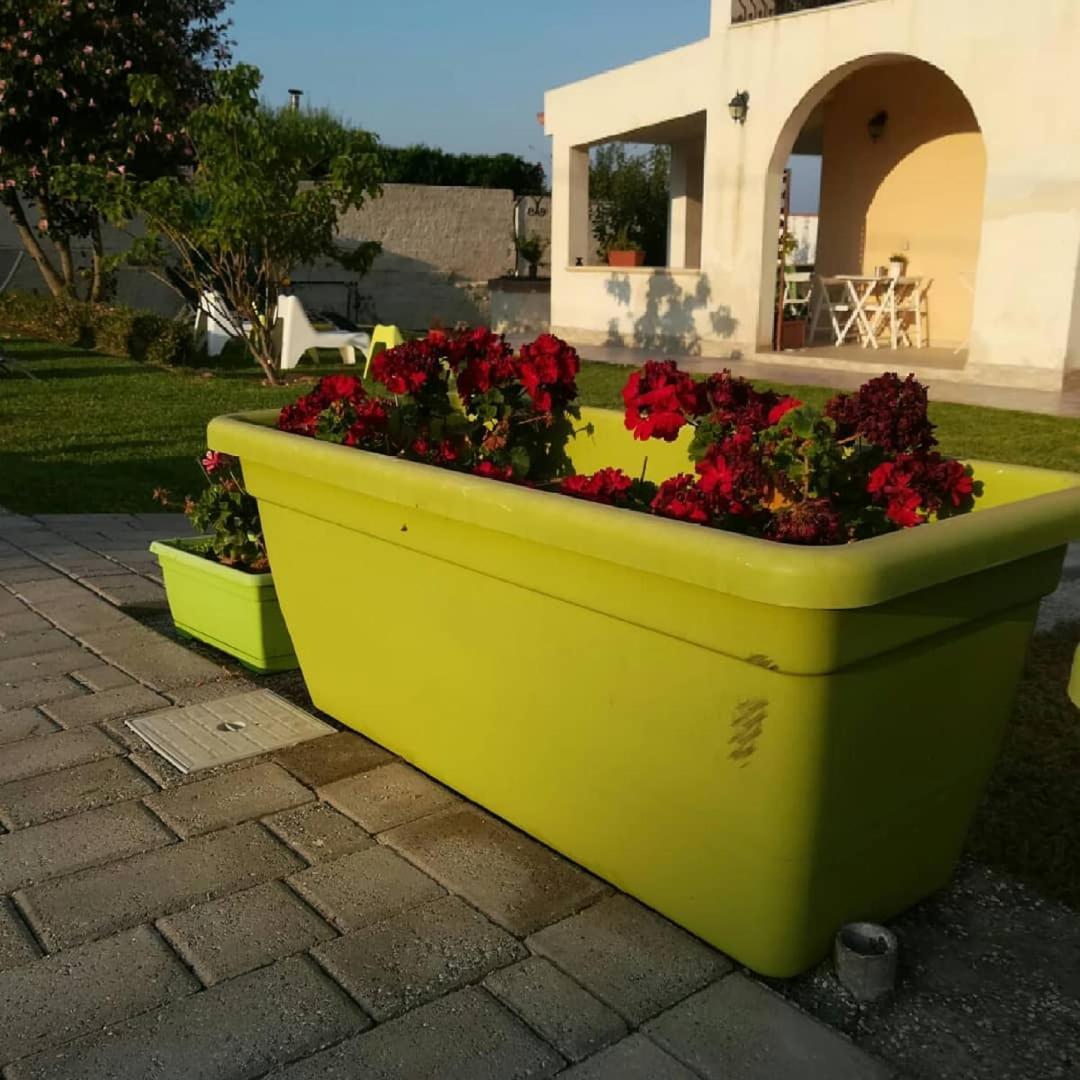 La Casa Delle Farfalle Bed and Breakfast Syracuse Esterno foto