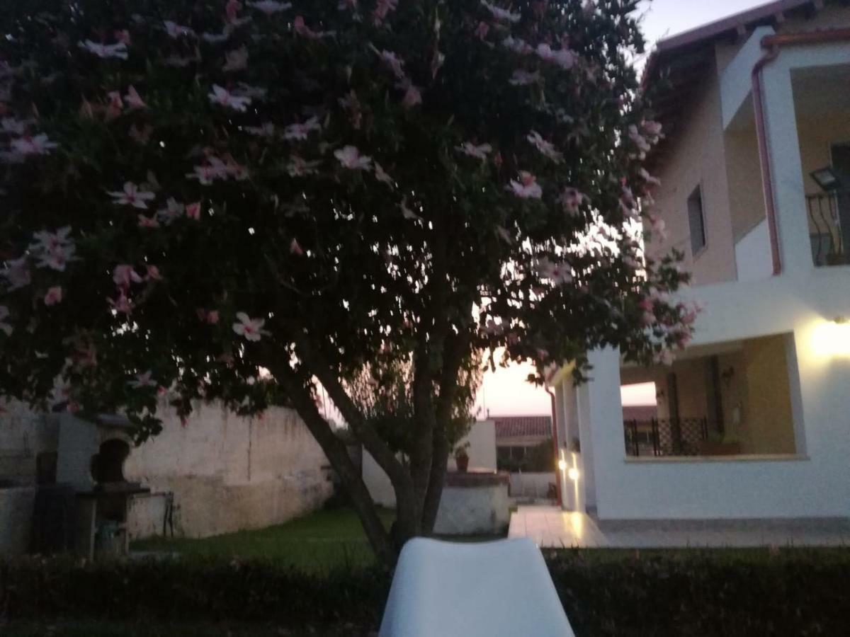 La Casa Delle Farfalle Bed and Breakfast Syracuse Esterno foto